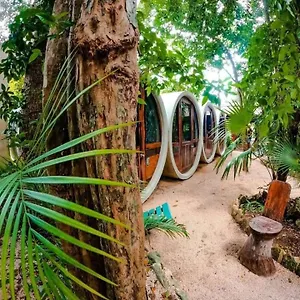  Auberge de jeunesse Tubo Mexique
